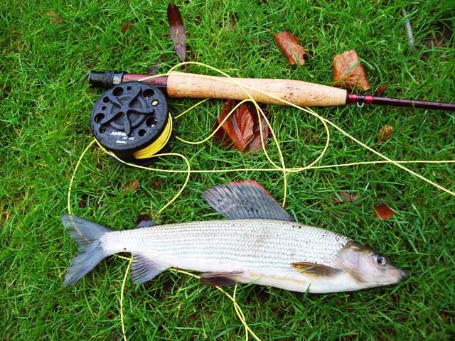 test longparish lipljen web