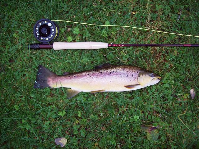 test orvis pastrmka prva web