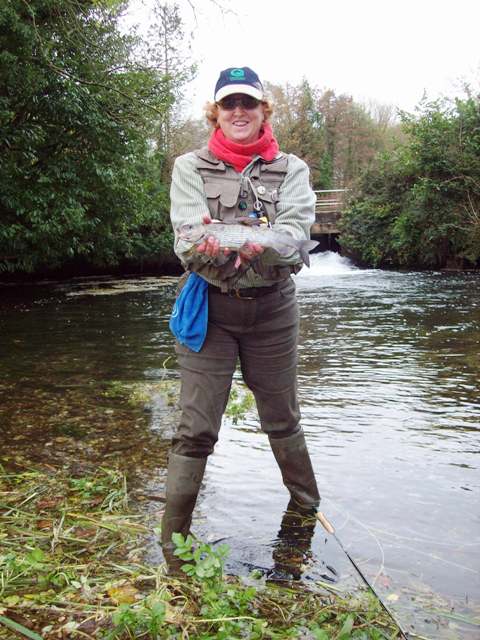 test orvis teta i lipljen web