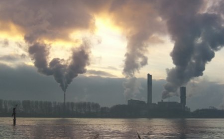 Zagađen vazduh izaziva moždani udar