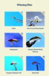 Winning flies 1