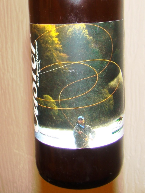 Caster pivo