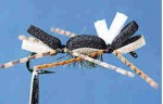 chernobyl-ant 1995