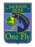 onefly2