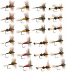 attractor_collection