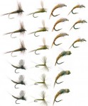 baetis_collection