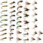 caddis_collection