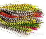 grizzly-barred-rubber-legs-medium-hi