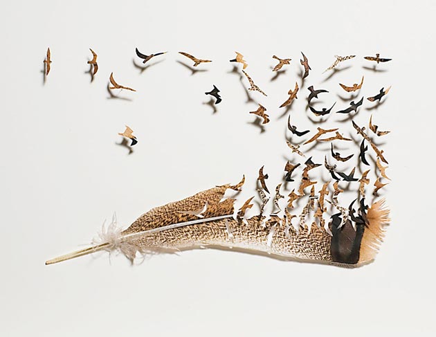 Umjetničke kreacije od perja