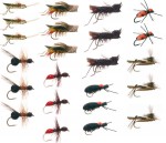 terrestrial_collection