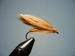 5.5 Nocne proljetne-Kokoska web