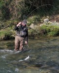 Krka-web11.JPG