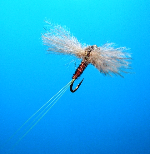 CDC Pheasant Tail web