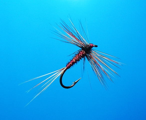 Pheasant Tail Dry web