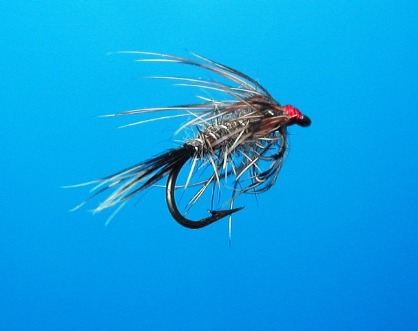 Soft Hackle Hares Ear web