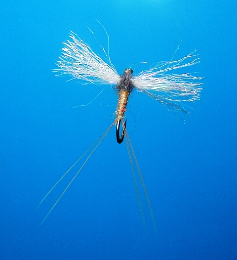 UV Wing Spinner web