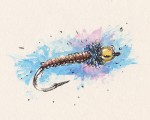 df52-31_brassie.jpg