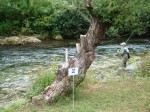 evropsko-BL-janj-web1.JPG