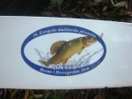 evropsko-Logo-Evropskog-prvenstva-web.JPG