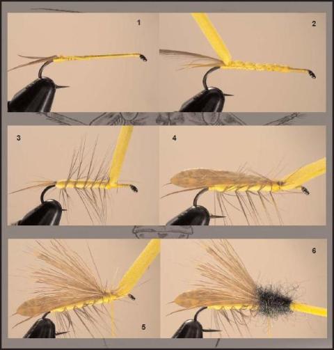 kamenjarka 1-6 koraci web