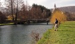 krka-web4.JPG