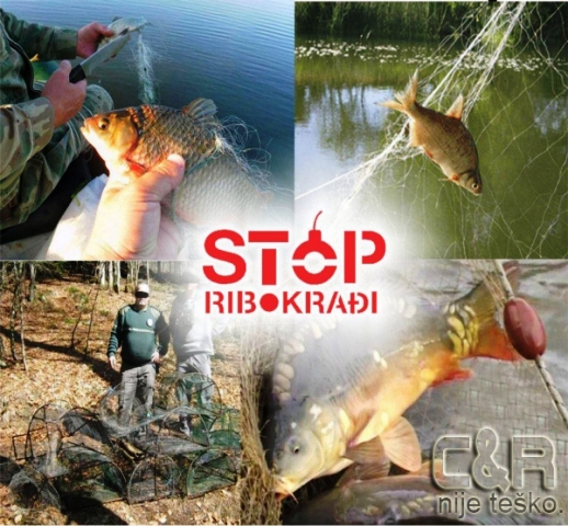 Stop ribokrađi!