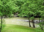 Gradac foto roka web