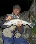 Dunav 11.10 web