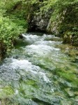 Suvaja web1