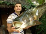 preparirani_som_Drina_2.jpg
