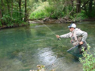 10542002_626112157496146_8788552033573466966_n