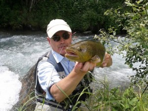 Potocara valerio web5