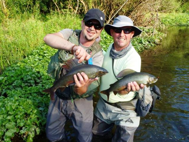 Dva lipljena na Ribniku - Silvio i Karlo