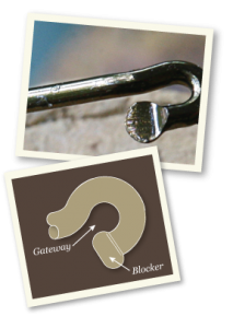 gatewayeyesidetop
