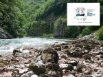 kombinacija web