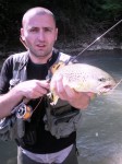 oholi web2