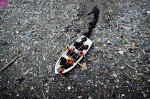 polluted-river4