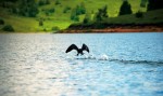 vlasinsko-jezero-web2