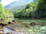 Piva web