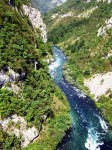 Piva web1