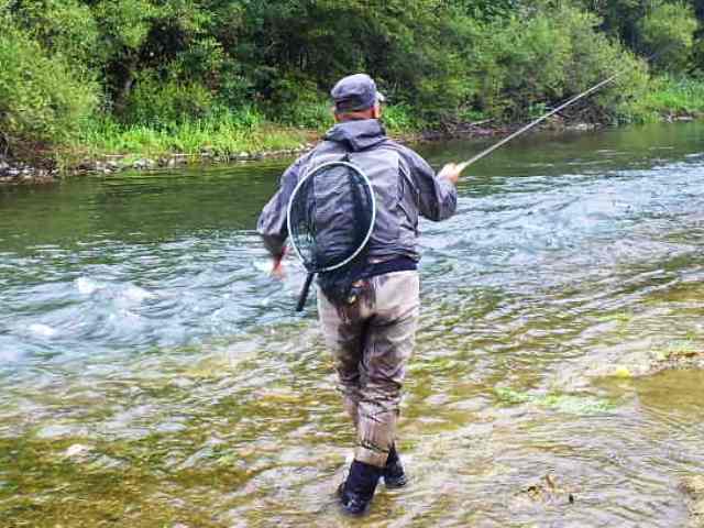 SAMSUNG DIGIMAX A403