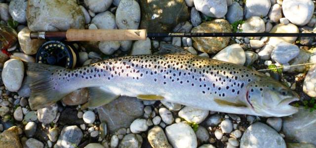 potocna jezernica web3