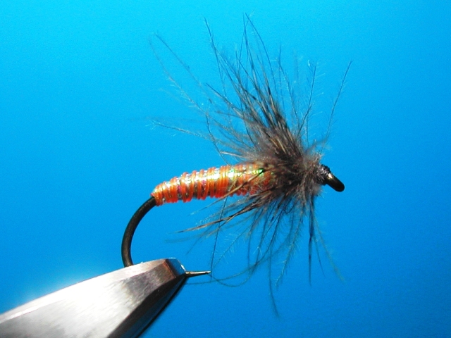 CDC Mono Body Pupa
