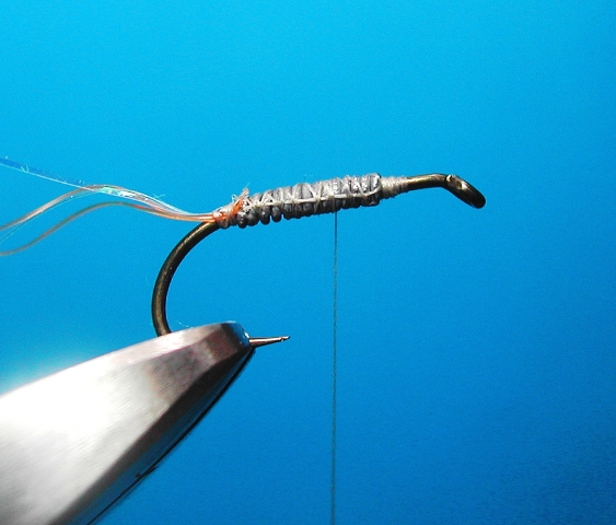 slika 2. CDC Mono Body pupa web