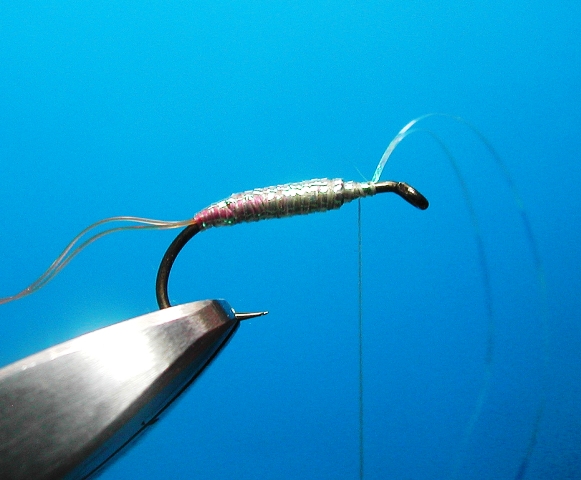 slika 4. CDC Mono Body pupa web