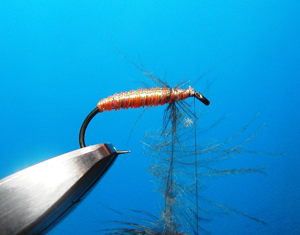 slika 6. CDC Mono Body pupa web