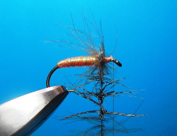 slika 7. CDC Mono Body pupa web