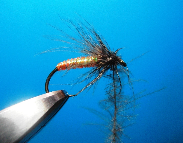 slika 8. CDC Mono Body pupa web