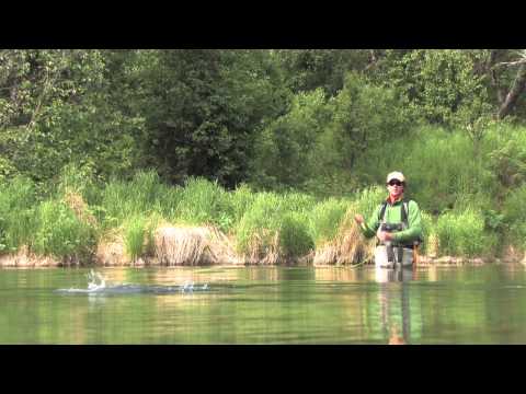 Best of Wild On The Fly DVD Trailer