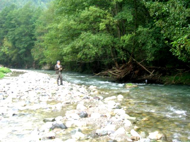 predrag gradac web